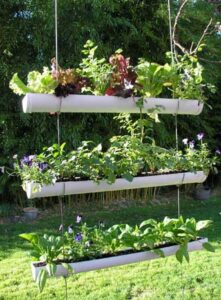 Small-Space Garden Projects